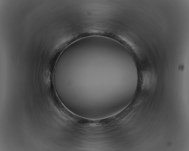 X0000091540692200708241734