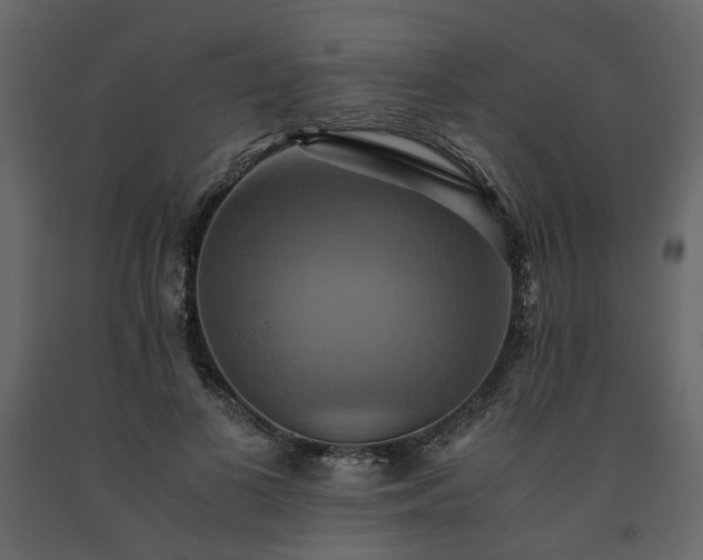 X0000091540693200708241734