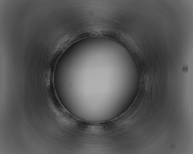 X0000091540694200708241734