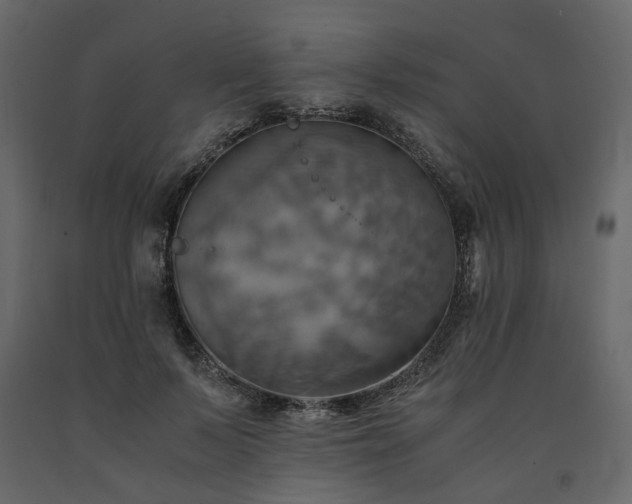 X0000091540695200708241734