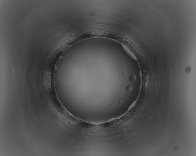 X0000091540696200708241734
