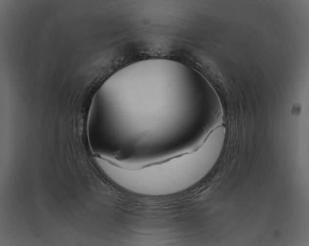 X0000091540697200708241734