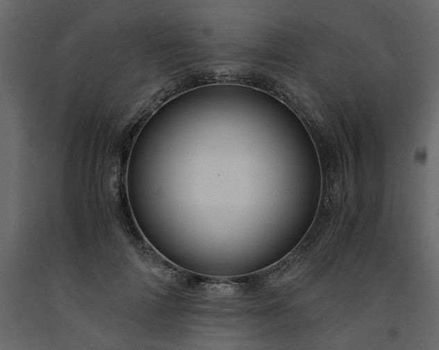 X0000091540698200708241734