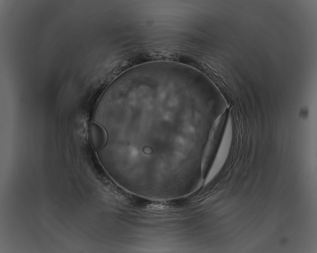 X0000091540699200708241734