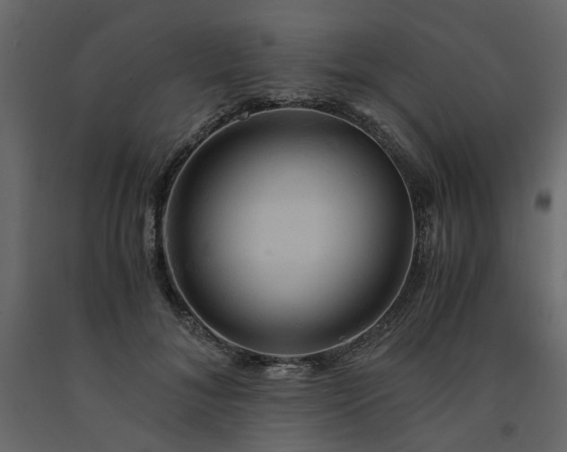 X0000091540700200708241734