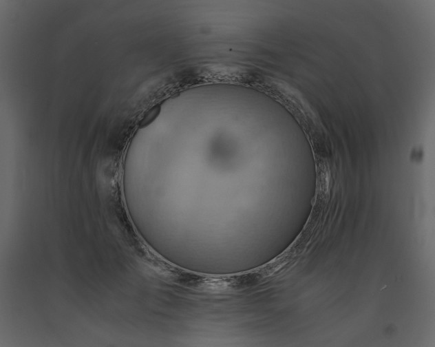 X0000091540701200708241734
