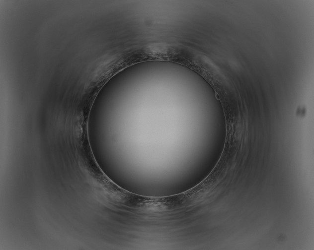 X0000091540702200708241734