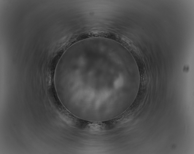 X0000091540703200708241734