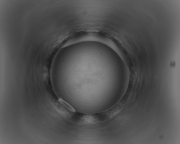 X0000091540704200708241734