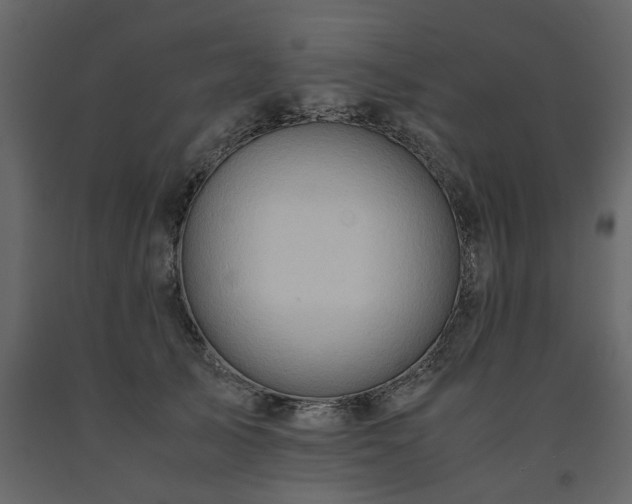 X0000091540705200708241734