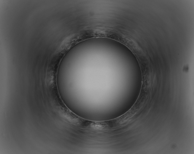X0000091540706200708241734