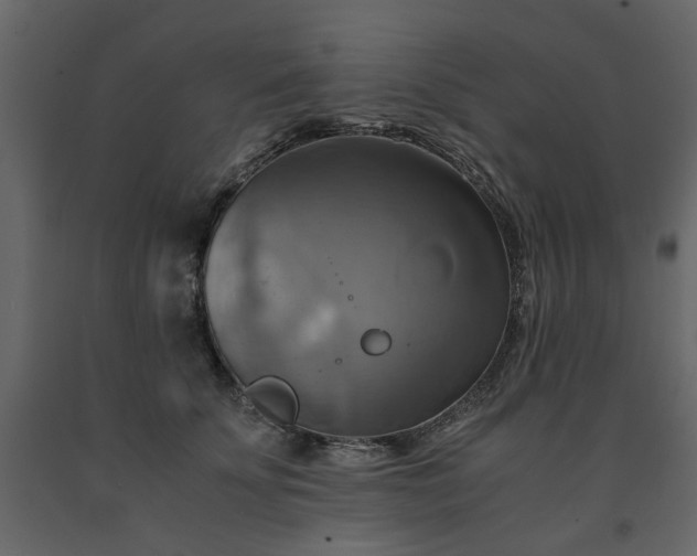 X0000091540707200708241734