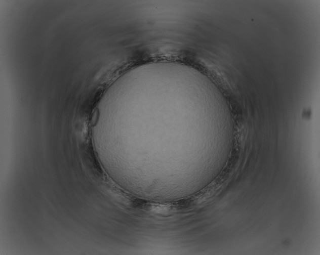 X0000091540709200708241734