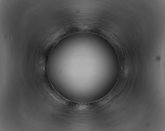 X0000091540710200708241734