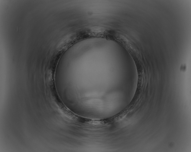 X0000091540711200708241734