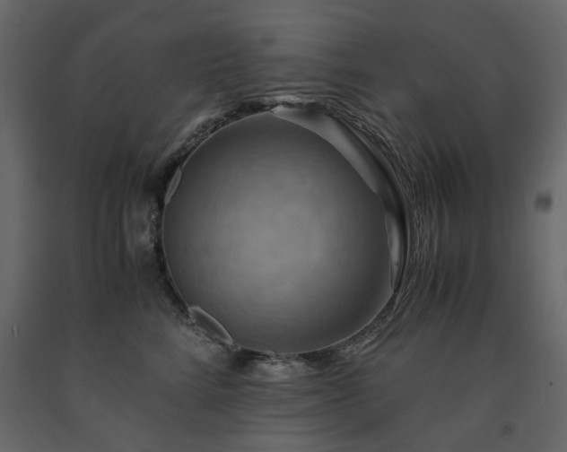 X0000091540712200708241734