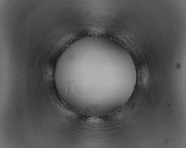 X0000091540714200708241734