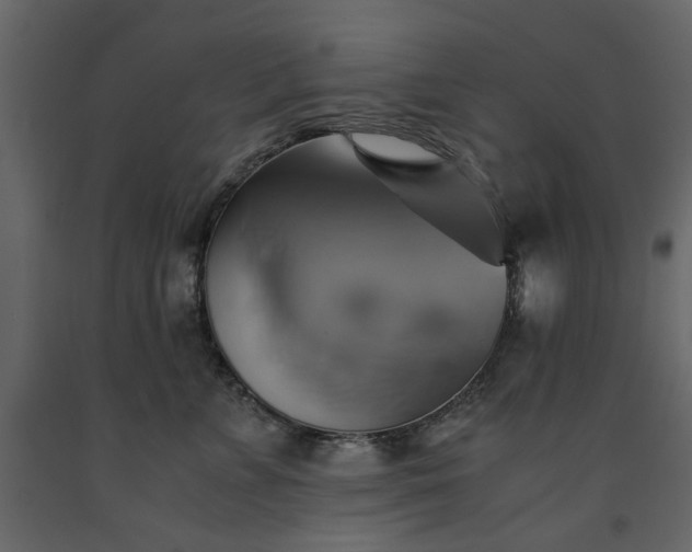 X0000091540715200708241733