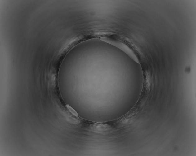 X0000091540716200708241733