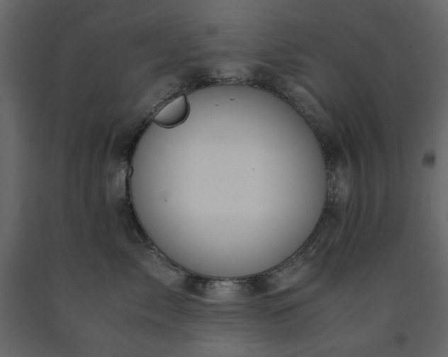 X0000091540717200708241733
