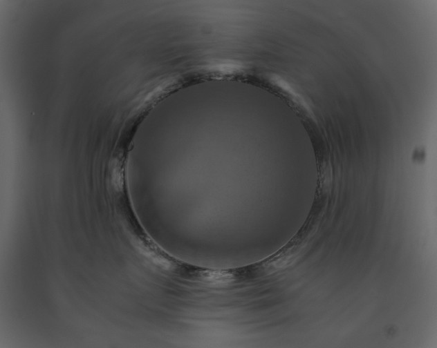 X0000091540719200708241733