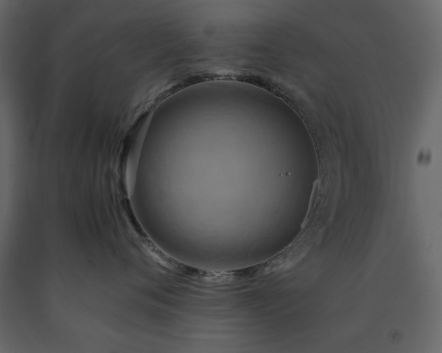 X0000091540720200708241733