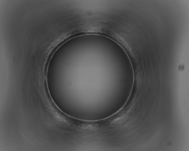 X0000091540721200708241733