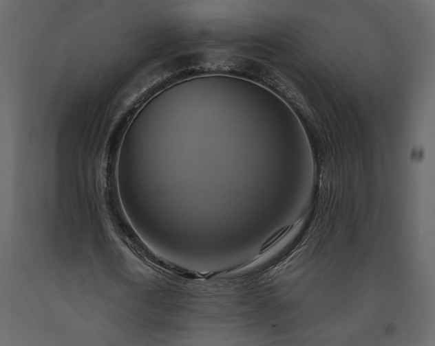 X0000091540722200708241733