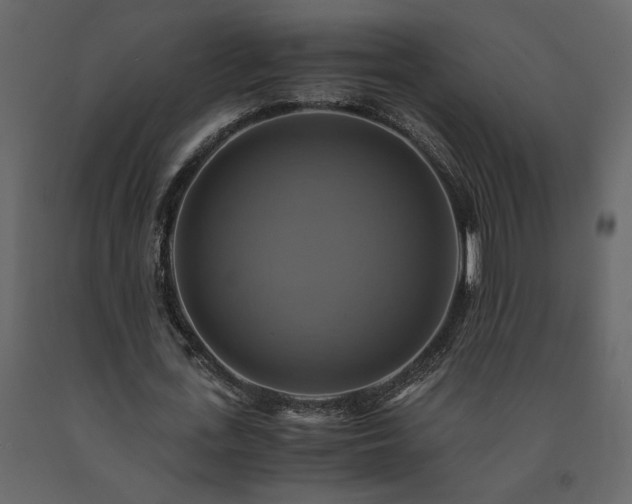 X0000091540723200708241733