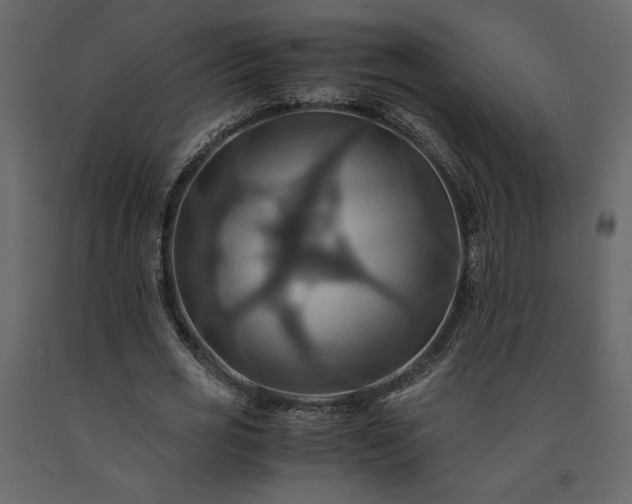 X0000091540725200708241733