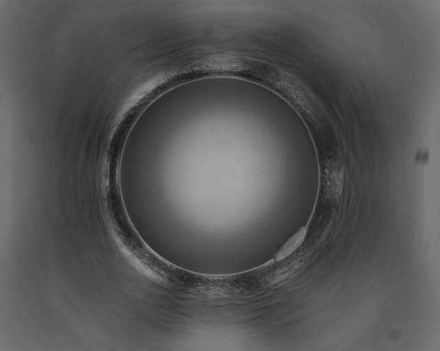 X0000091540726200708241733