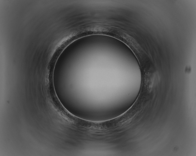X0000091540727200708241733