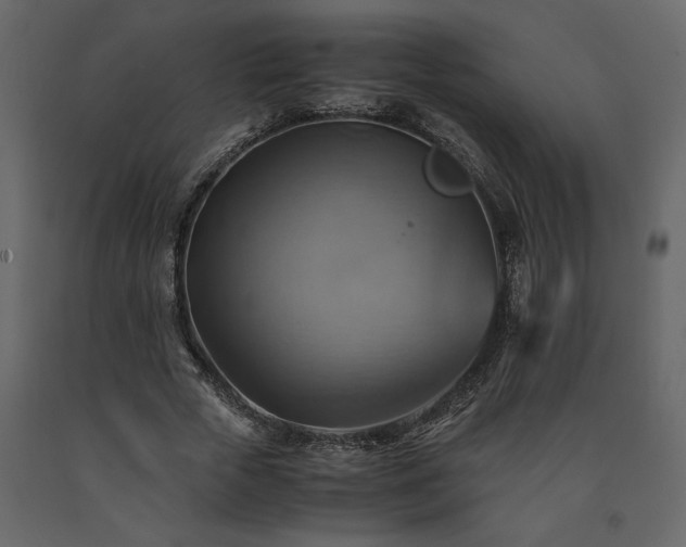 X0000091540729200708241733