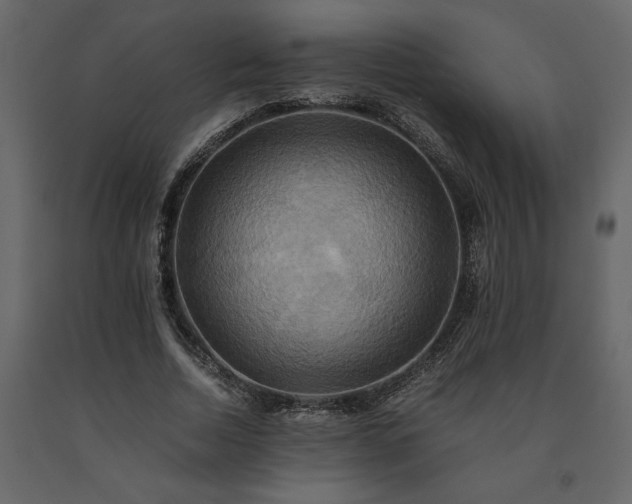 X0000091540730200708241733