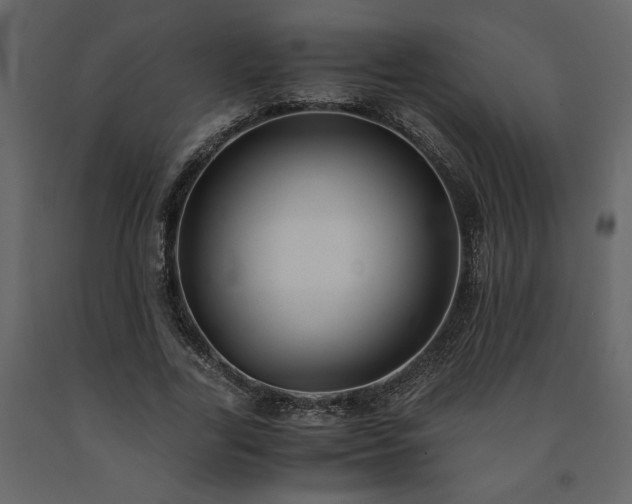 X0000091540731200708241733