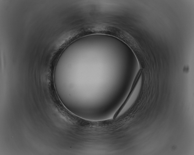 X0000091540732200708241733