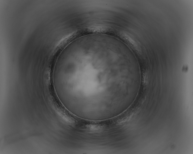 X0000091540733200708241733
