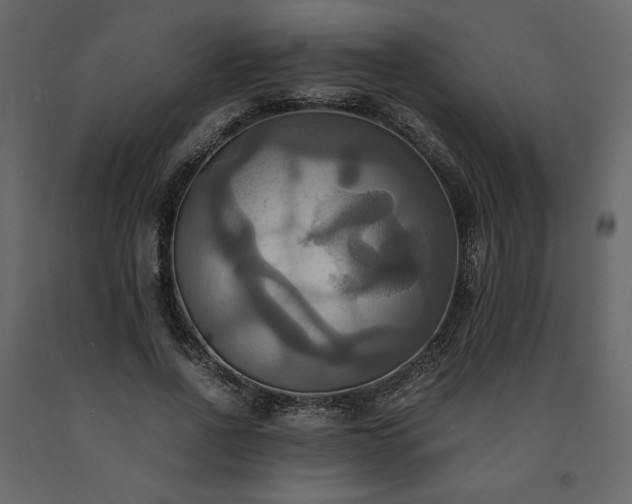 X0000091540734200708241733
