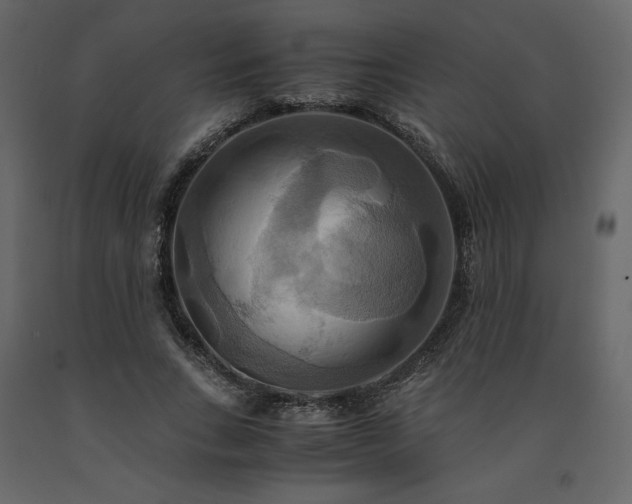 X0000091540735200708241733