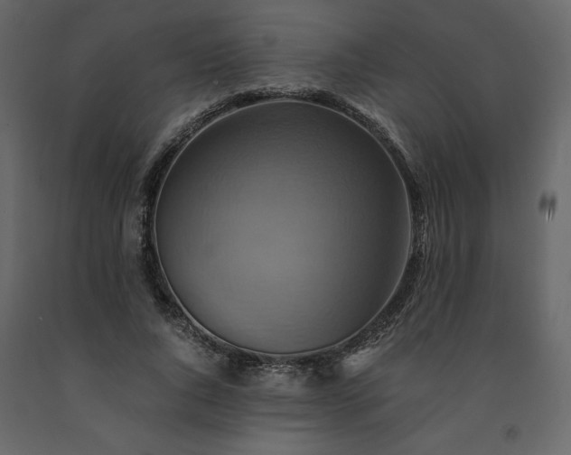 X0000091540736200708241733