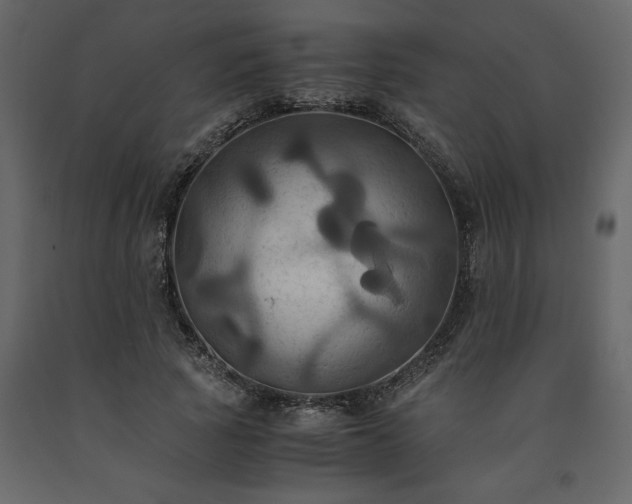 X0000091540737200708241733