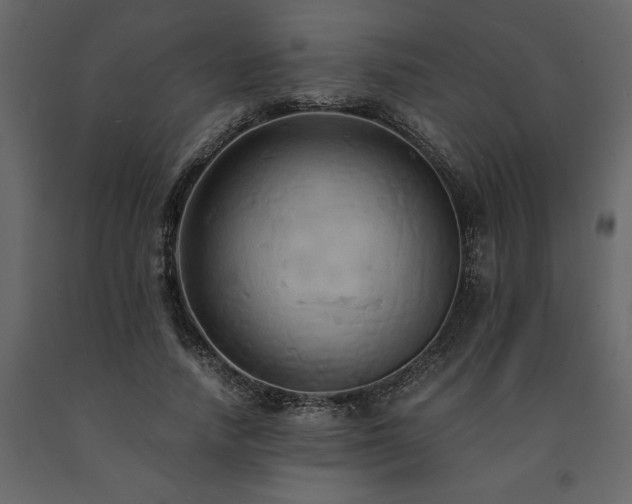 X0000091540738200708241733