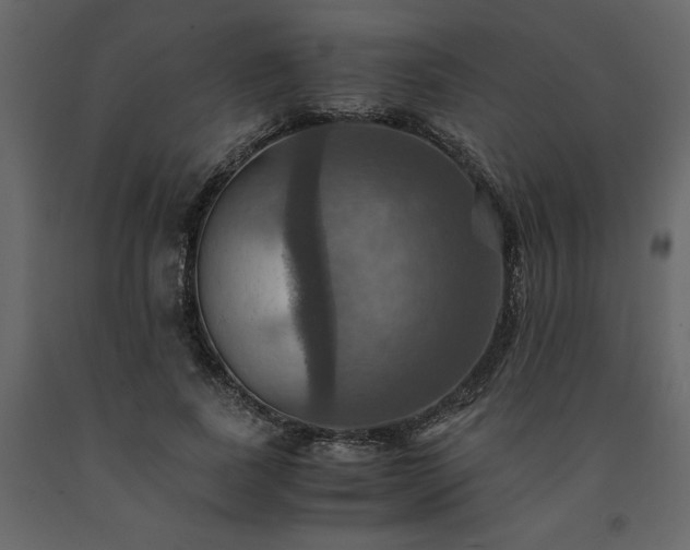 X0000091540739200708241733