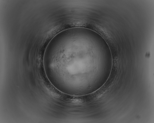X0000091540741200708241733