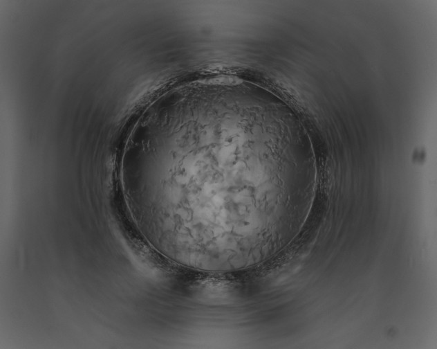 X0000091540742200708241733