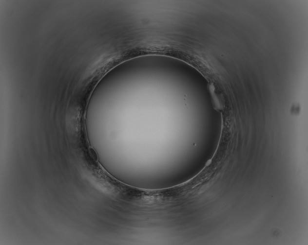 X0000091540744200708241733