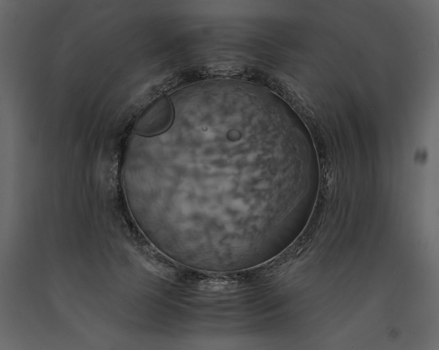 X0000091540745200708241733