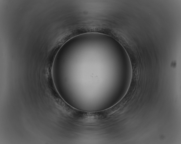 X0000091540746200708241733