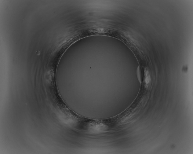 X0000091540747200708241733