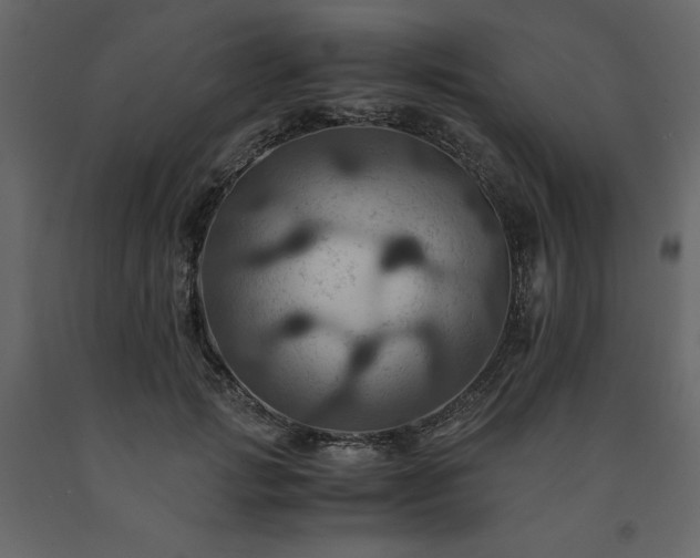 X0000091540749200708241733